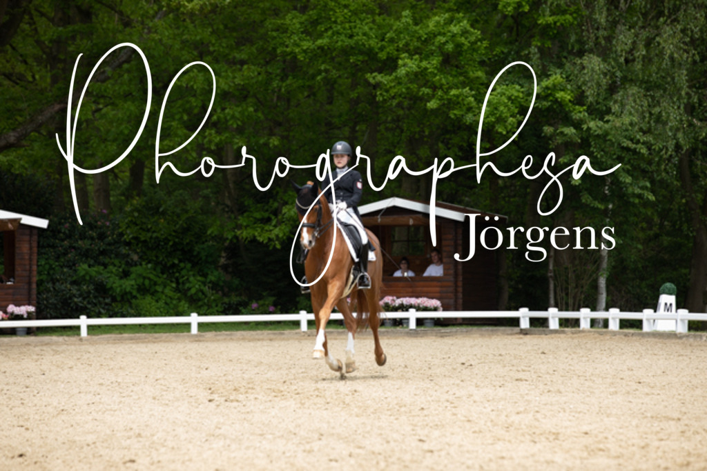 IMG_1757 | photographesa-joergens - Realisiert mit Pictrs.com