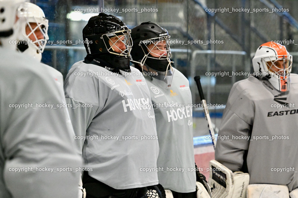 Z9B_0489 | hockey sports photos, Pressefotos, Sportfotos, hockey247, win 2day icehockeyleague, Handball Austria, Floorball Austria, ÖVV, Kärntner Eishockeyverband, KEHV, KFV, Kärntner Fussballverband, Österreichischer Volleyballverband, Alps Hockey League, ÖFB, 