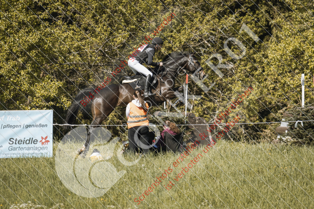 IMG_3004 | Hier findest Du viele Augenblicke aus den Bereichen der Turnier-, Sport- & Tierfotografie. Bilder mit deinem Liebling, Portrait-, Bewerbungs-, Businessbilder können ebenfalls schnell und einfach erstellt werden.