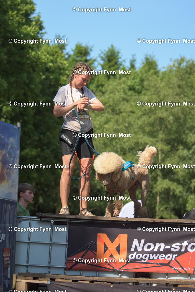 DSC_0335 | Hallo und herzlich Willkommen auf meiner Shop-Seite Fynn Most.

Ich wünsche Dir viel Spaß beim stöbern durch die Bilder, wenn Du Fragen hast oder Bilder vermisst, kannst du mir gerne eine Nachricht schreiben. - Realisiert mit Pictrs.com