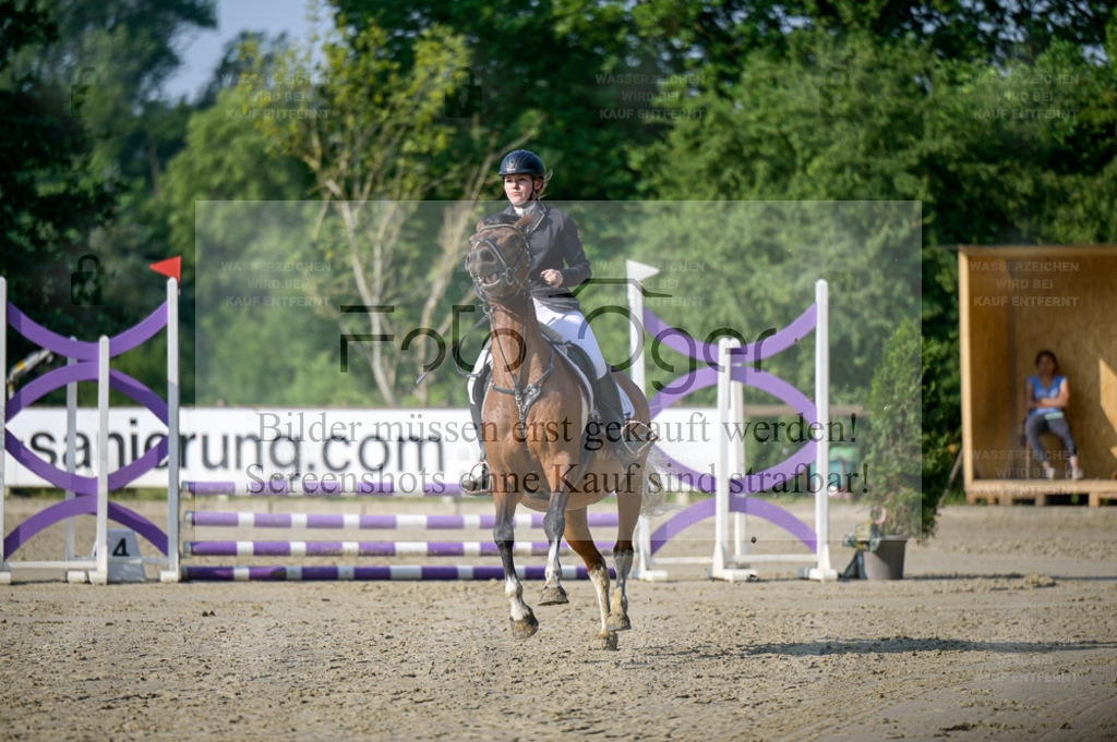 Osnabrücker Reitertage | Bilder aus dem Reitsport by Foto Oger - Domenic Schlinge - Realisiert mit Pictrs.com