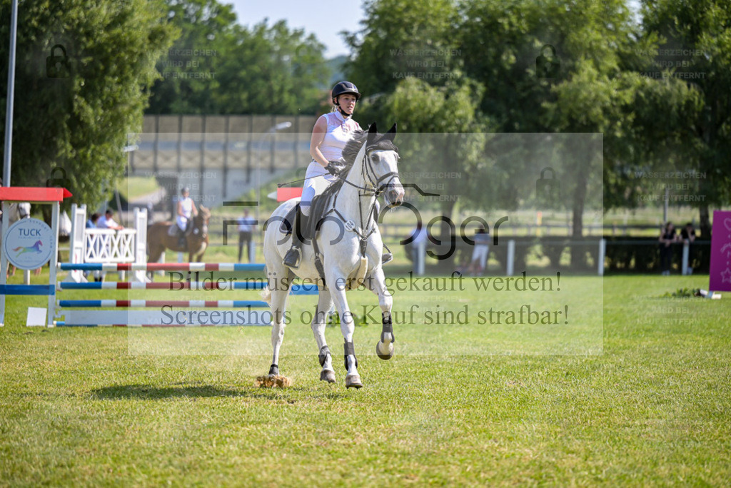 Reitturnier Voxtrup | Bilder aus dem Reitsport by Foto Oger - Domenic Schlinge - Realisiert mit Pictrs.com