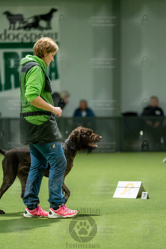 7IV03621 | Professionelle Tierfotografie in Mönchengladbach von Daniel Wirth (allesWIRTHgut). Liebevolle & natürliche Bilder von Hunden & Katzen für unvergessliche Erinnerungen.