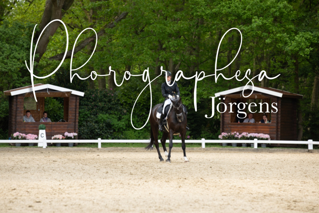 IMG_3137 | photographesa-joergens - Realisiert mit Pictrs.com