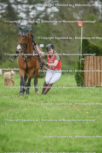 20230513_CCI2_Section1_0197 | equistock