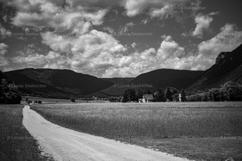 Landschaft in Schwarzweiß | Lucas Seebacher Fotografie - Realisiert mit Pictrs.com