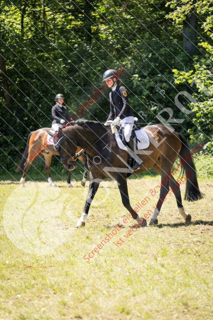 IMG_6166 | Hier findest Du viele Augenblicke aus den Bereichen der Turnier-, Sport- & Tierfotografie. Bilder mit deinem Liebling, Portrait-, Bewerbungs-, Businessbilder können ebenfalls schnell und einfach erstellt werden.