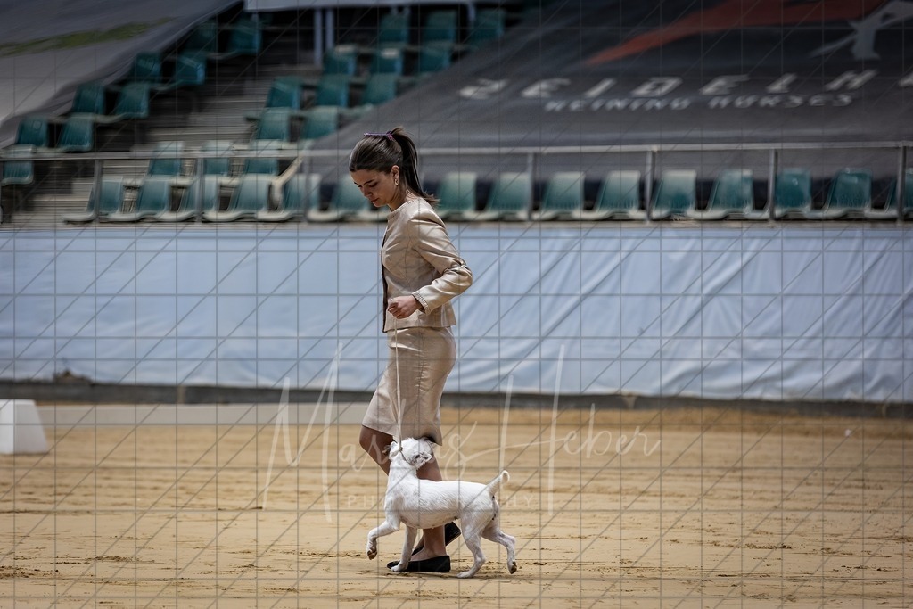 DS - Junior-Handling II_0022 | Markus Heber Photography