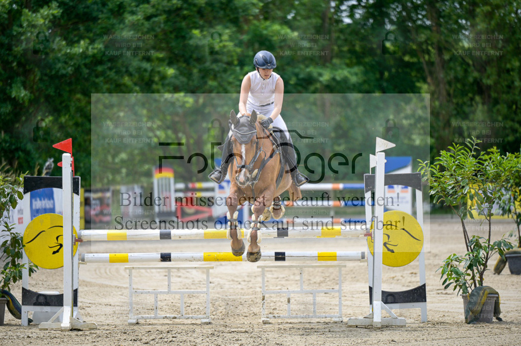 Osnabrücker Reitertage | Bilder aus dem Reitsport by Foto Oger - Domenic Schlinge - Realisiert mit Pictrs.com