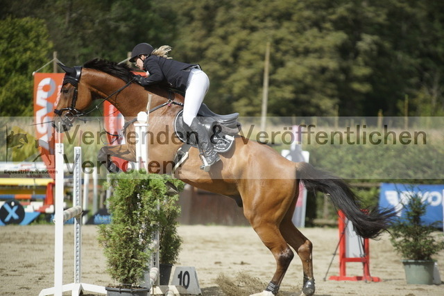 _DSC2884 | equestrian-live-com