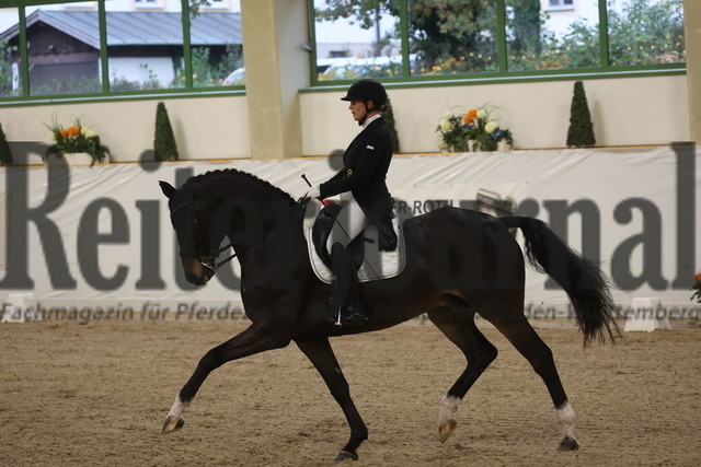 Gut Ising_2023_Prfg.Nr.04_Halbfinale_Derby Stars von Morgen_Michaela Förtsch_Duke (8) | Alle Fotos der Reiterjournal Fotografin Doris Matthaes im Reiterjournal Online-Fotoshop. - Realizzato con Pictrs.com