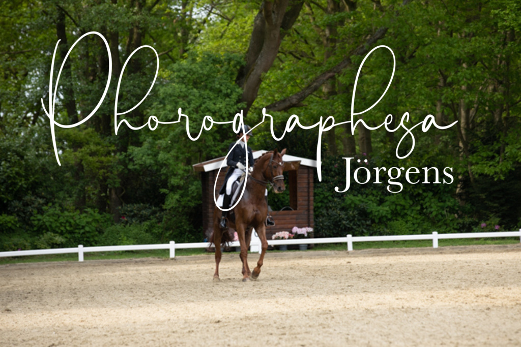 IMG_2756 | photographesa-joergens - Realisiert mit Pictrs.com