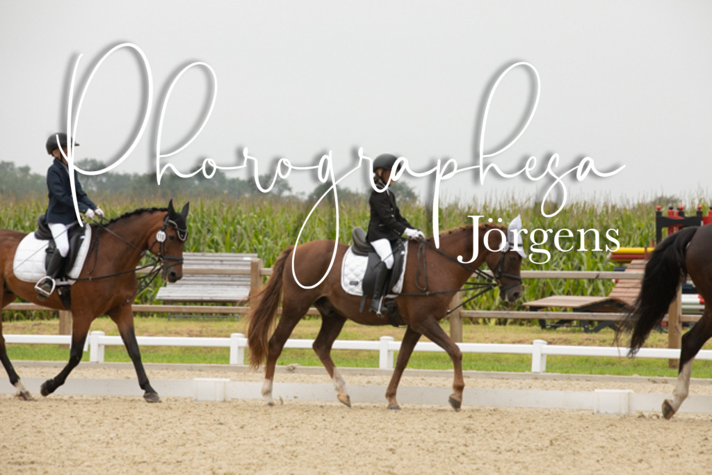 IMG_1665 | photographesa-joergens - Realisiert mit Pictrs.com