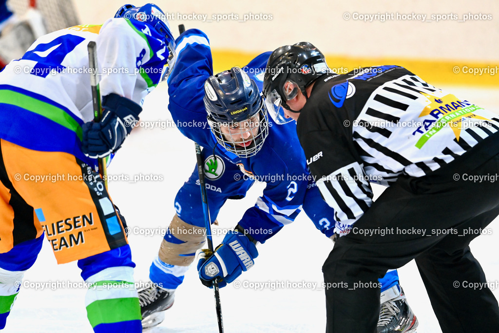  EC Tigers Paternion vs. EC Virgen 8.1.2022 | #2 Pranjic Marko