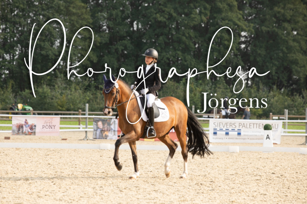IMG_5168 | photographesa-joergens - Realisiert mit Pictrs.com