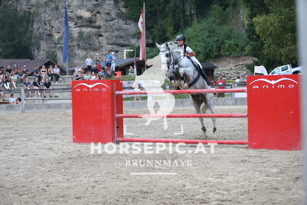 AS8V0378 | Willkommen bei Brunnmayr - Design & Fotografie – Ihrem Spezialisten für Reitturniere und Pferdeveranstaltungen in Oberösterreich, Salzburg und Bayern! Seit über 17 Jahren sind wir leidenschaftlich dabei.