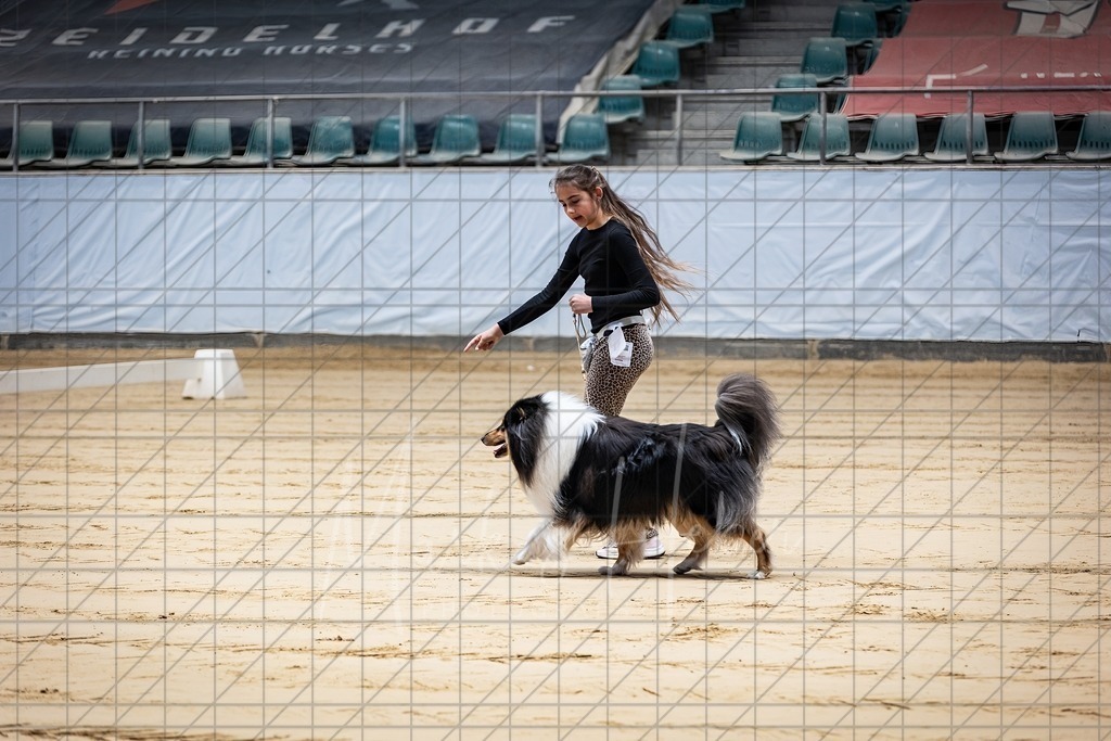 DS - Junior-Handling II_0053 | Markus Heber Photography