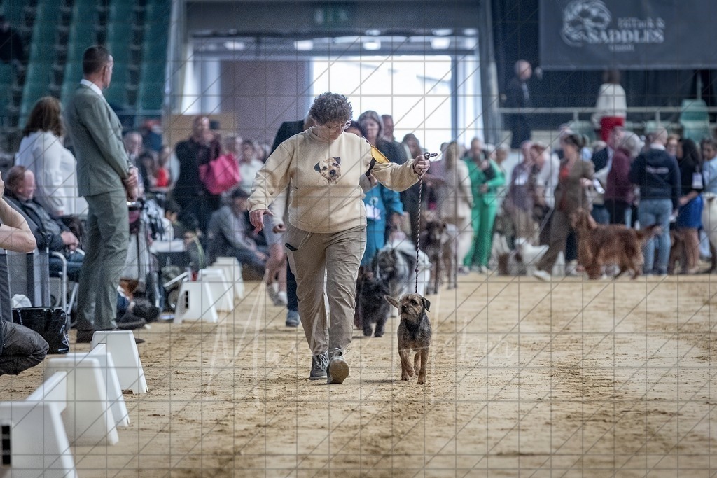DS - Bester Veteran_0034 | Markus Heber Photography