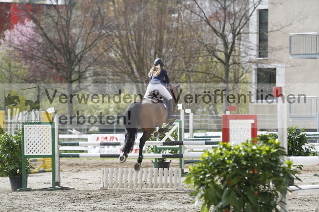 _MG_8377 | equestrian-live-com