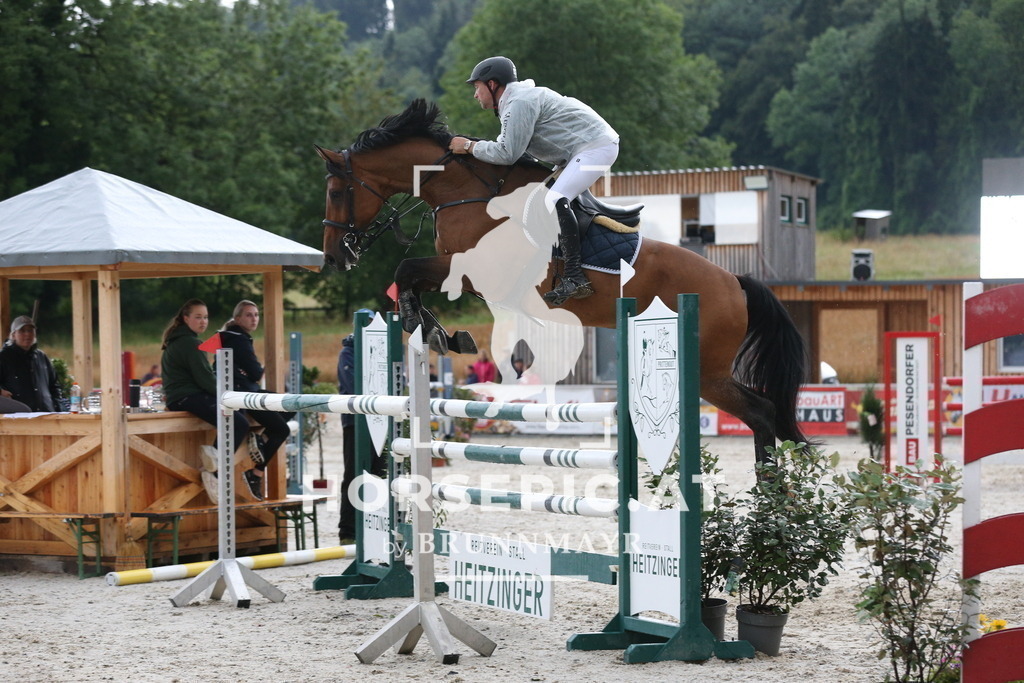AS8V1522 | Willkommen bei Brunnmayr - Design & Fotografie – Ihrem Spezialisten für Reitturniere und Pferdeveranstaltungen in Oberösterreich, Salzburg und Bayern! Seit über 17 Jahren sind wir leidenschaftlich dabei.