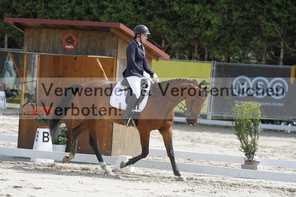 _MG_1540 | equestrian-live-com