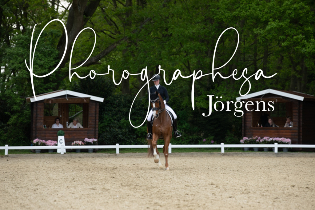 IMG_8846 | photographesa-joergens - Realisiert mit Pictrs.com