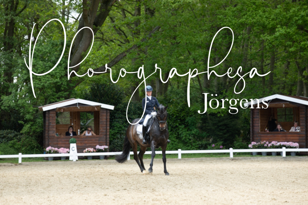 IMG_8335 | photographesa-joergens - Realisiert mit Pictrs.com