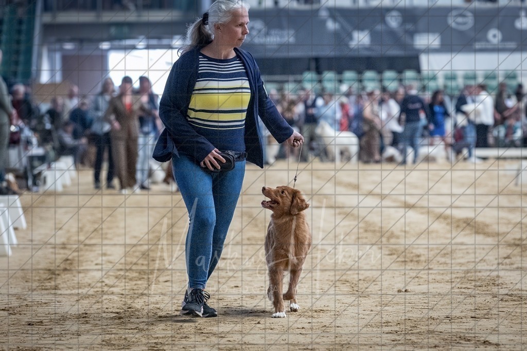 DS - Bester Veteran_0062 | Markus Heber Photography