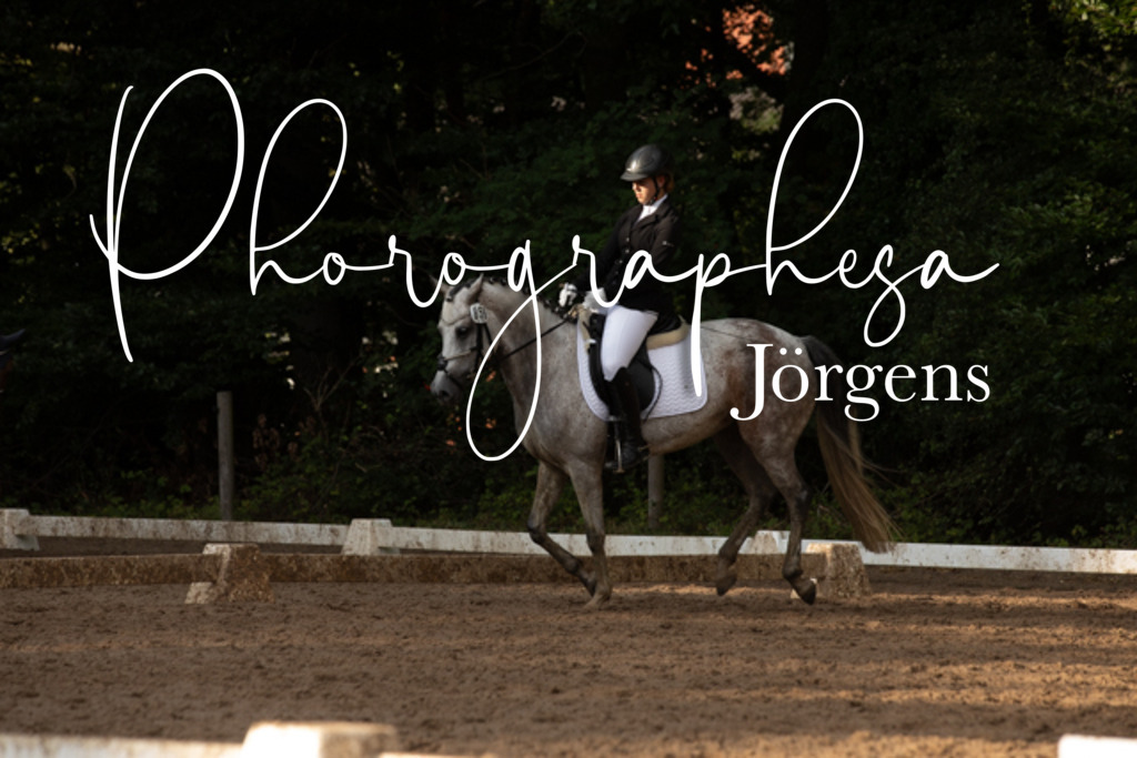 IMG_1015 | photographesa-joergens - Realisiert mit Pictrs.com