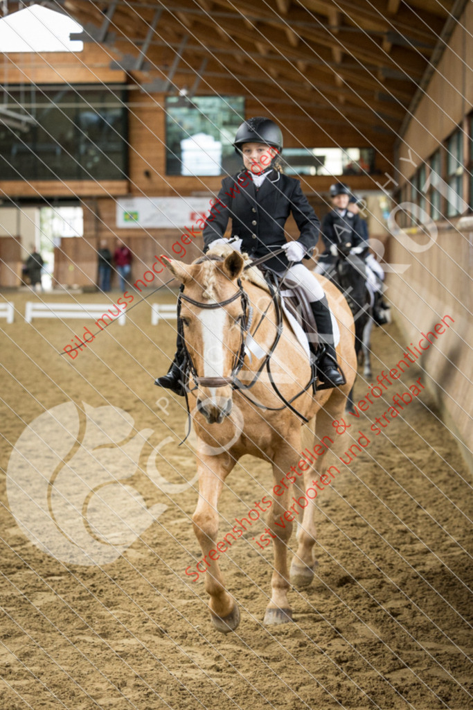 IMG_5033 | Hier findest Du viele Augenblicke aus den Bereichen der Turnier-, Sport- & Tierfotografie. Bilder mit deinem Liebling, Portrait-, Bewerbungs-, Businessbilder können ebenfalls schnell und einfach erstellt werden.