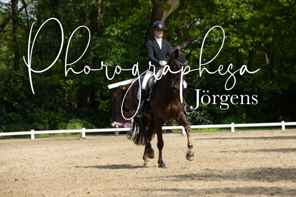IMG_0641 | photographesa-joergens - Realisiert mit Pictrs.com