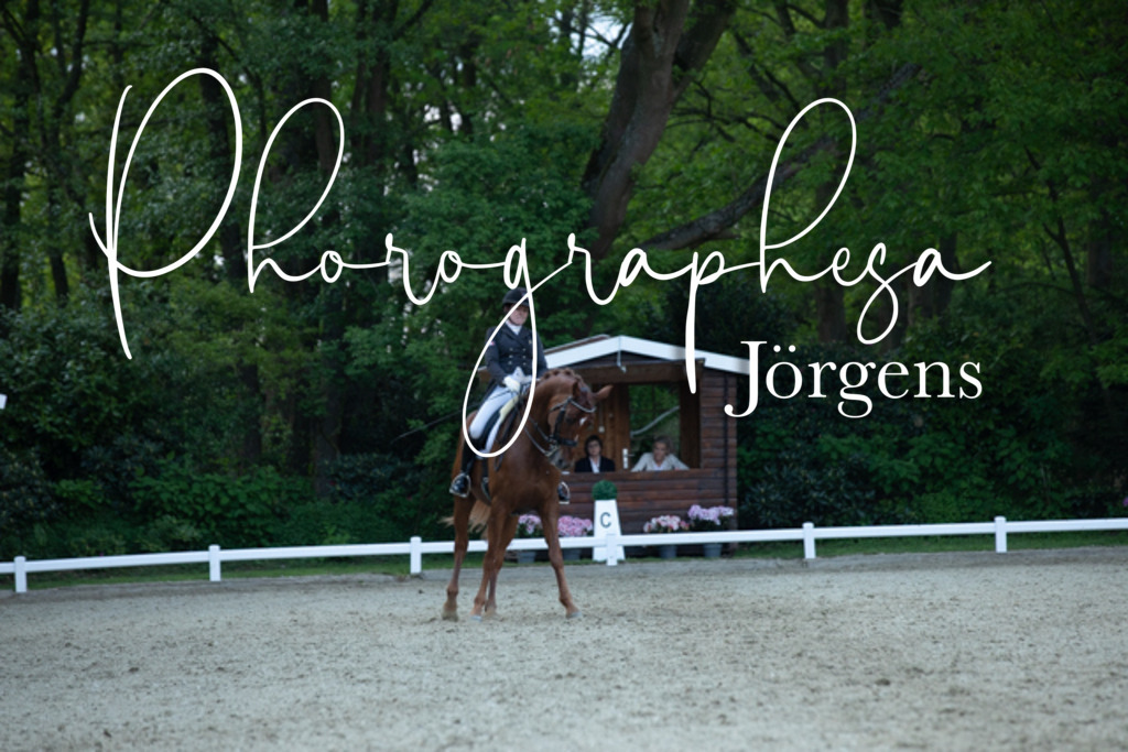 IMG_9521 | photographesa-joergens - Realisiert mit Pictrs.com