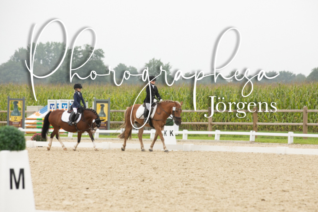 IMG_2000 | photographesa-joergens - Realisiert mit Pictrs.com