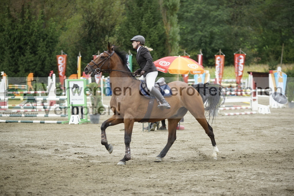 _DSC3393 | equestrian-live-com