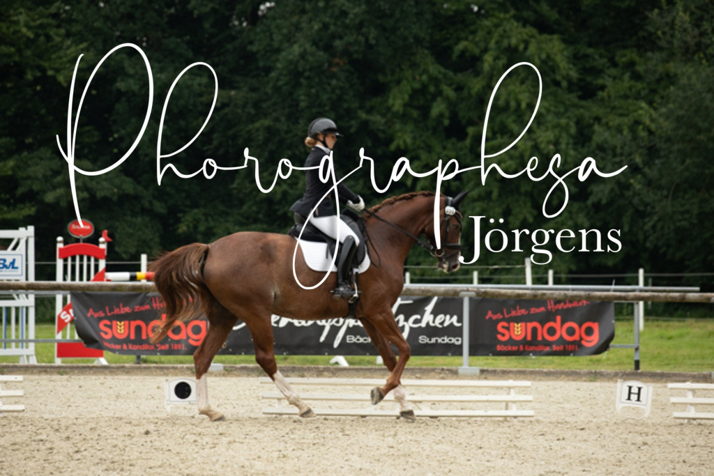 IMG_5234 | photographesa-joergens - Realisiert mit Pictrs.com