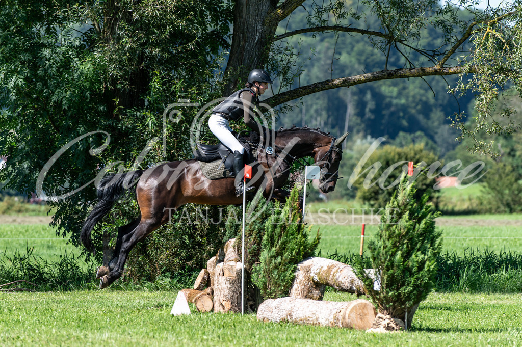 TBL_2569 | Turnierfotos von Reitturnieren in den Landkreisen Biberach, Ravensburg und in ganz Oberschwaben - von Tanja Bläschke - Colorsofahorse - Realisiert mit Pictrs.com