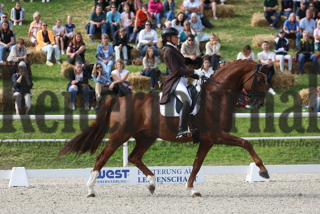 Birkhof_2023_Prfg.Nr.03_Intermediaire II_Louisdor_Yara Reichert_Springbank II VH (37) | Alle Fotos der Reiterjournal Fotografin Doris Matthaes im Reiterjournal Online-Fotoshop. - Realizzato con Pictrs.com