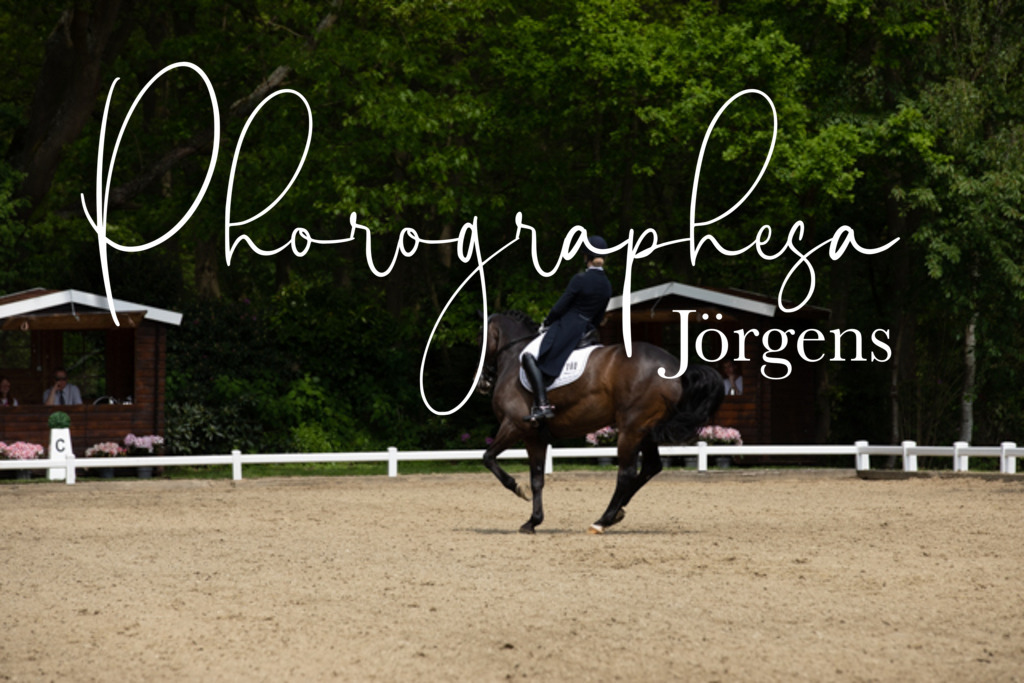 IMG_1508 | photographesa-joergens - Realisiert mit Pictrs.com