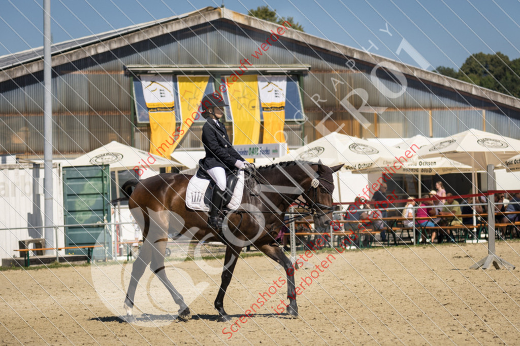 IMG_3524 | Hier findest Du viele Augenblicke aus den Bereichen der Turnier-, Sport- & Tierfotografie. Bilder mit deinem Liebling, Portrait-, Bewerbungs-, Businessbilder können ebenfalls schnell und einfach erstellt werden.