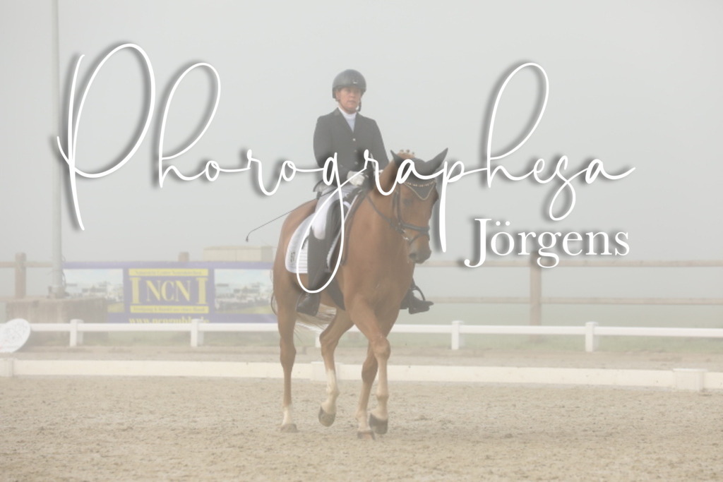 IMG_1569 | photographesa-joergens - Realisiert mit Pictrs.com