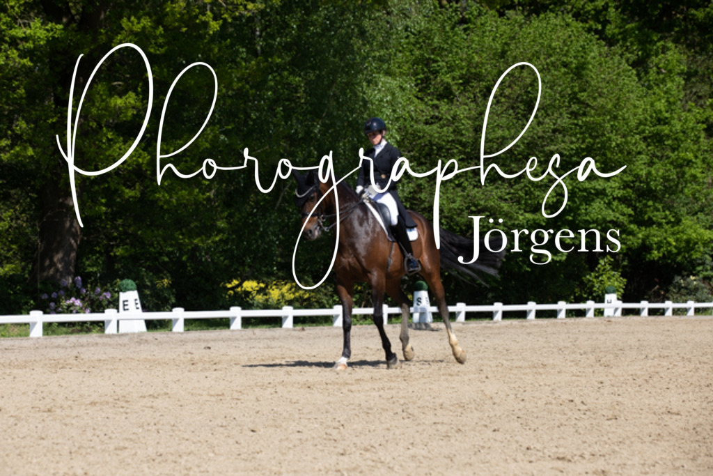 IMG_3800 | photographesa-joergens - Realisiert mit Pictrs.com