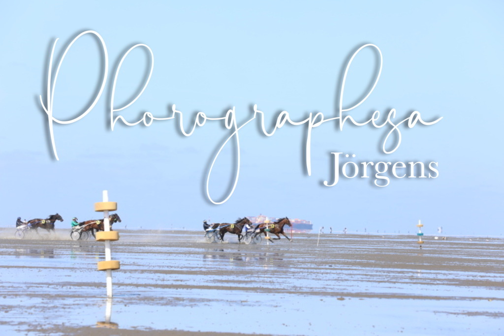 IMG_8654 | photographesa-joergens - Realisiert mit Pictrs.com