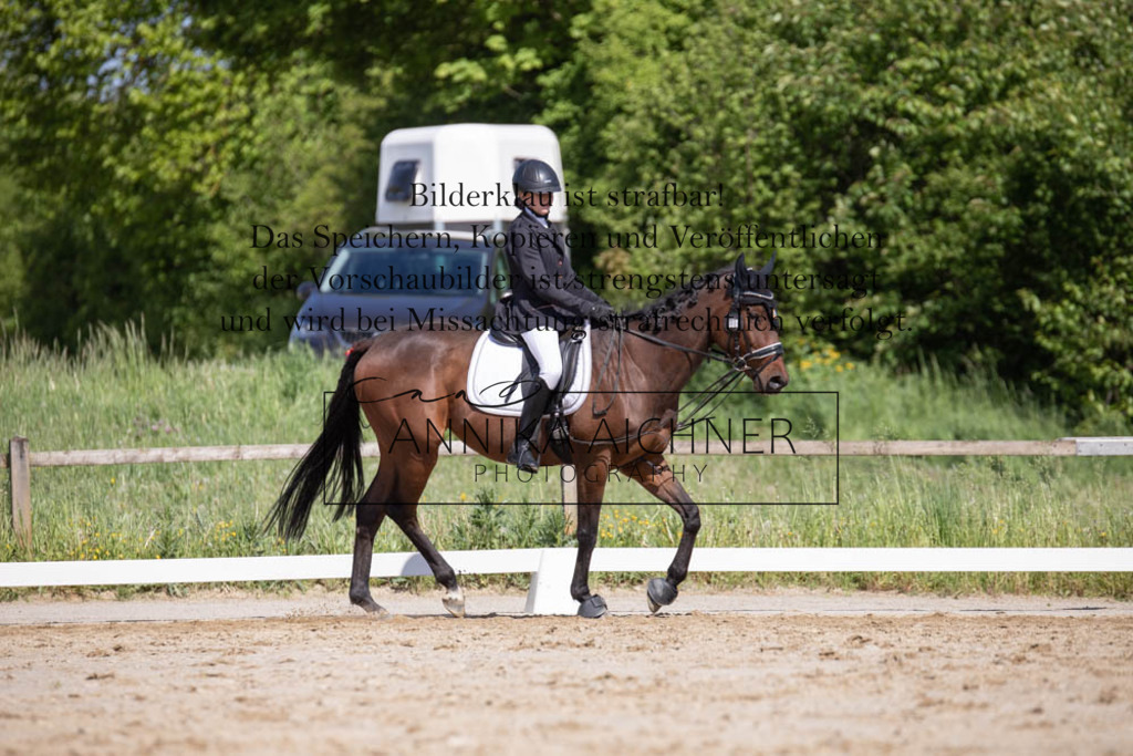 _MG_0333 | Annika Aichner Fotografie | Turnierfotografin | Turniere Niederbayern | Springturnier | Dressurturnier | Obermünchen | Geisenhausen | Mainburg | Neukirchen | Turnierbilder | Turnierfotos | Reitsport - Realisiert mit Pictrs.com