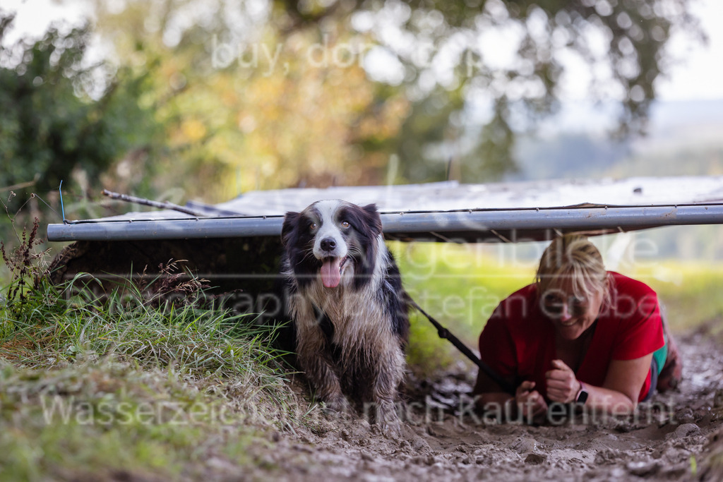 CJ8A6672 | Herzlich Willkommen im Onlineshop von tierische Augenblicke.
Viel Spaß beim aussuchen ihrer Bilder und vielen Dank für ihren Einkauf.
Viele Grüße, ihr Fotograf Stefan Grube