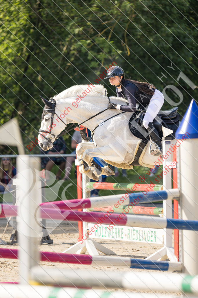 IMG_2697 | Hier findest Du viele Augenblicke aus den Bereichen der Turnier-, Sport- & Tierfotografie. Bilder mit deinem Liebling, Portrait-, Bewerbungs-, Businessbilder können ebenfalls schnell und einfach erstellt werden.