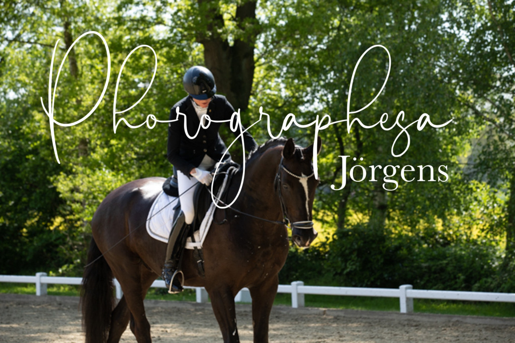 IMG_6049 | photographesa-joergens - Realisiert mit Pictrs.com