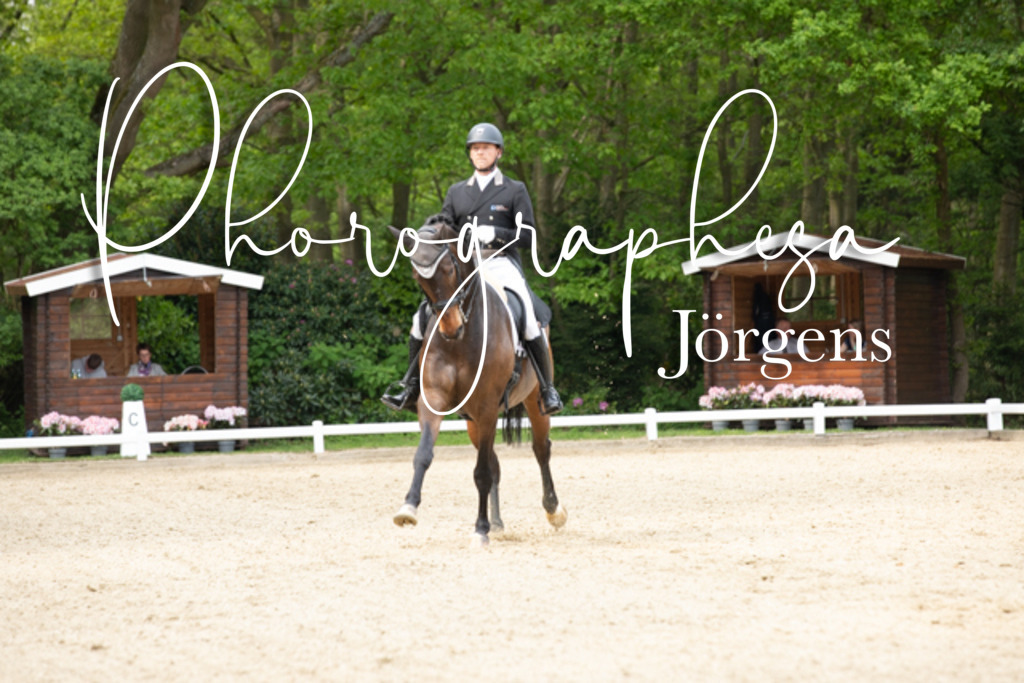 IMG_2614 | photographesa-joergens - Realisiert mit Pictrs.com