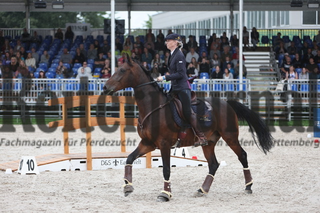 Offenburg_EuroCheval_2023_Working Equitation_Speed Trail (64) | Alle Fotos der Reiterjournal Fotografin Doris Matthaes im Reiterjournal Online-Fotoshop. - Realisiert mit Pictrs.com