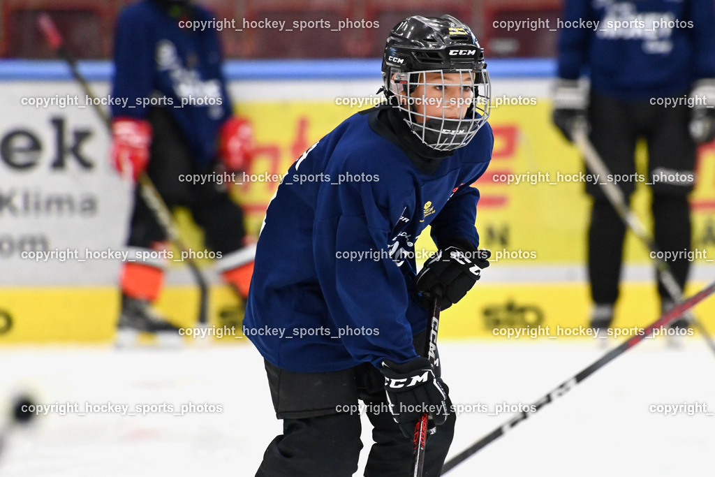 BST_8049 | hockey sports photos, Pressefotos, Sportfotos, hockey247, win 2day icehockeyleague, Handball Austria, Floorball Austria, ÖVV, Kärntner Eishockeyverband, KEHV, KFV, Kärntner Fussballverband, Österreichischer Volleyballverband, Alps Hockey League, ÖFB, 