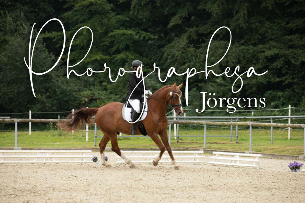 IMG_5763 | photographesa-joergens - Realisiert mit Pictrs.com